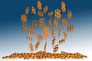 开云体育客服-言论自由高于金钱？布朗拒绝耐克合作引发讨论，bruce 布朗